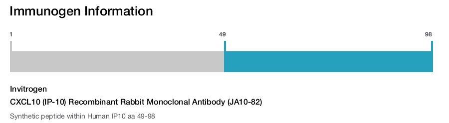CXCL10 (IP-10) Recombinant Rabbit Monoclonal Antibody (JA10-82)