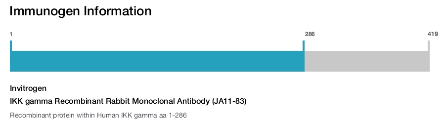 IKK gamma Recombinant Rabbit Monoclonal Antibody (JA11-83)