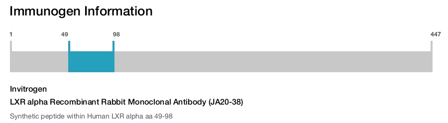 LXR alpha Recombinant Rabbit Monoclonal Antibody (JA20-38)