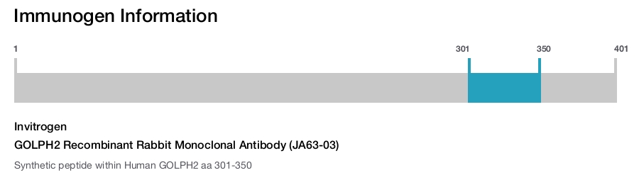 GOLPH2 Recombinant Rabbit Monoclonal Antibody (JA63-03)