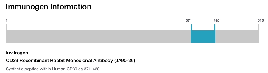 CD39 Recombinant Rabbit Monoclonal Antibody (JA90-36)