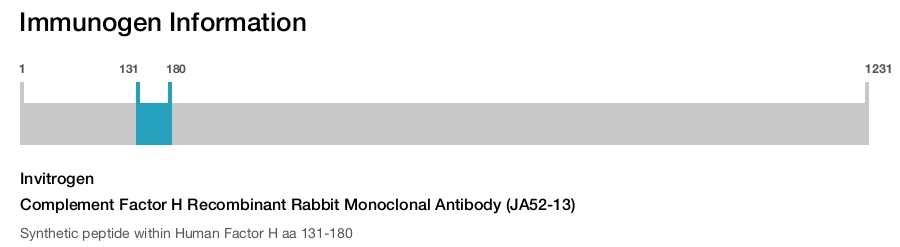 Complement Factor H Recombinant Rabbit Monoclonal Antibody (JA52-13)