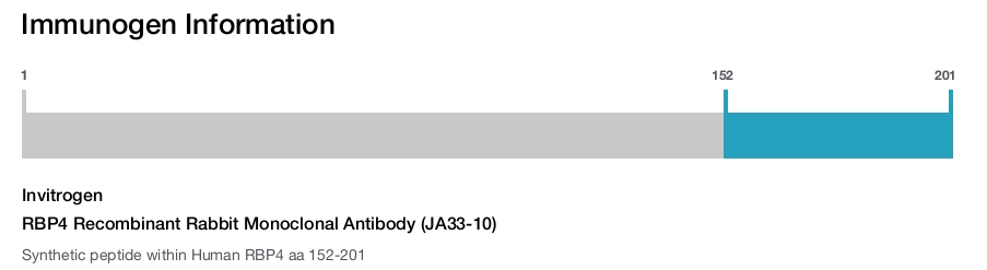 RBP4 Recombinant Rabbit Monoclonal Antibody (JA33-10)