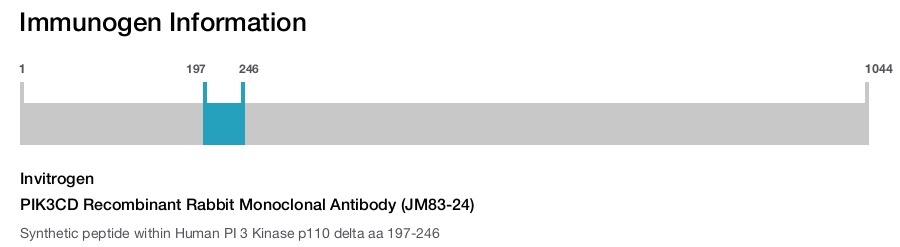 PIK3CD Recombinant Rabbit Monoclonal Antibody (JM83-24)