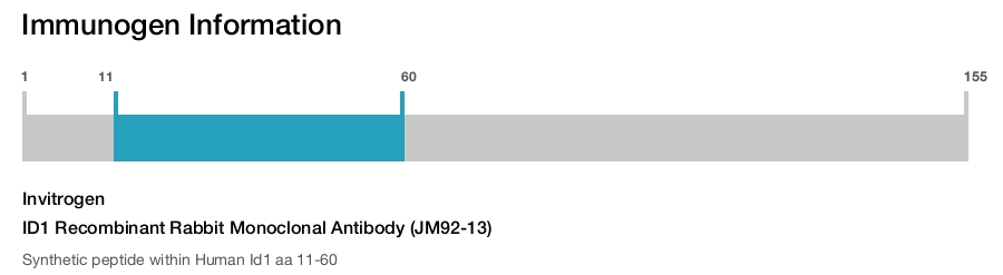 ID1 Recombinant Rabbit Monoclonal Antibody (JM92-13)
