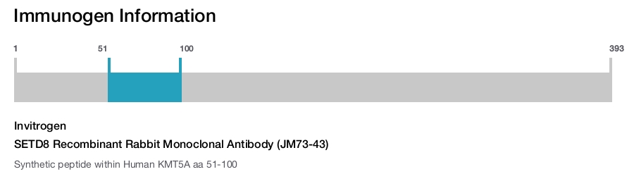 SETD8 Recombinant Rabbit Monoclonal Antibody (JM73-43)