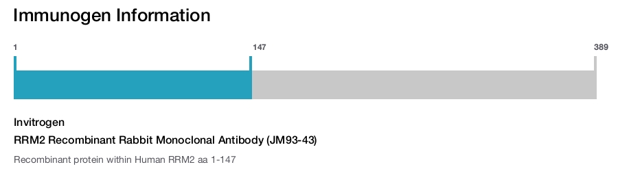 RRM2 Recombinant Rabbit Monoclonal Antibody (JM93-43)