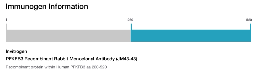 PFKFB3 Recombinant Rabbit Monoclonal Antibody (JM43-43)