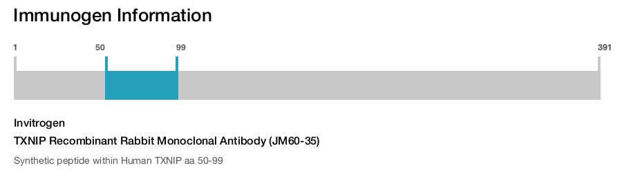TXNIP Recombinant Rabbit Monoclonal Antibody (JM60-35)