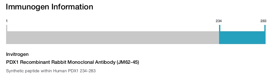 PDX1 Recombinant Rabbit Monoclonal Antibody (JM62-45)