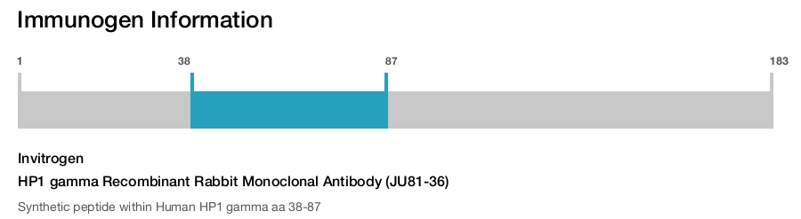 HP1 gamma Recombinant Rabbit Monoclonal Antibody (JU81-36)