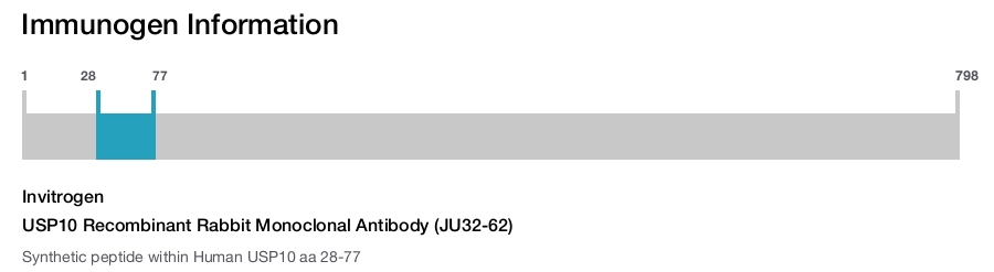 USP10 Recombinant Rabbit Monoclonal Antibody (JU32-62)