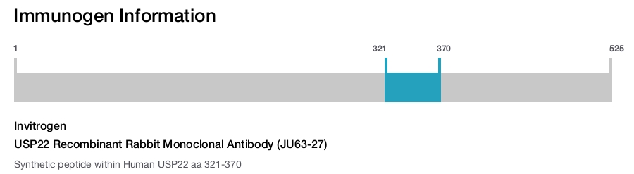USP22 Recombinant Rabbit Monoclonal Antibody (JU63-27)