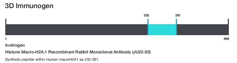 Histone Macro-H2A.1 Recombinant Rabbit Monoclonal Antibody (JU22-83)