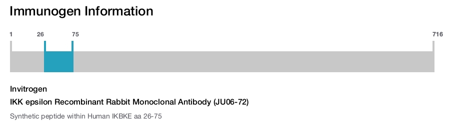 IKK epsilon Recombinant Rabbit Monoclonal Antibody (JU06-72)