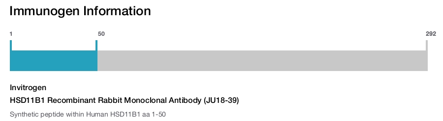 HSD11B1 Recombinant Rabbit Monoclonal Antibody (JU18-39)