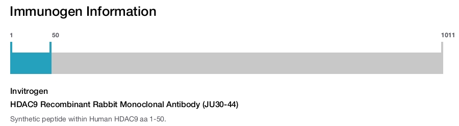 HDAC9 Recombinant Rabbit Monoclonal Antibody (JU30-44)