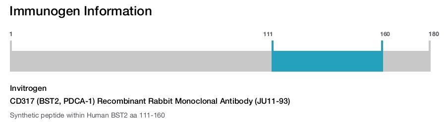 CD317 (BST2, PDCA-1) Recombinant Rabbit Monoclonal Antibody (JU11-93)