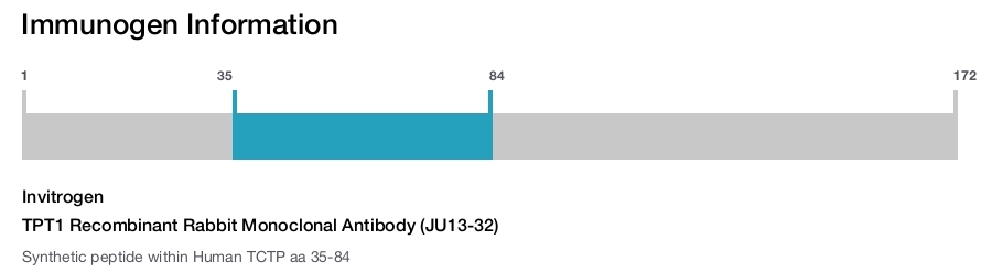 TPT1 Recombinant Rabbit Monoclonal Antibody (JU13-32)