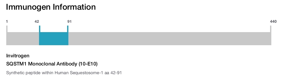 SQSTM1 Monoclonal Antibody (10-E10)