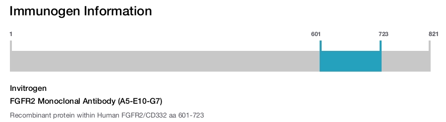 FGFR2 Monoclonal Antibody (A5-E10-G7)