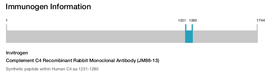 Complement C4 Recombinant Rabbit Monoclonal Antibody (JM88-13)