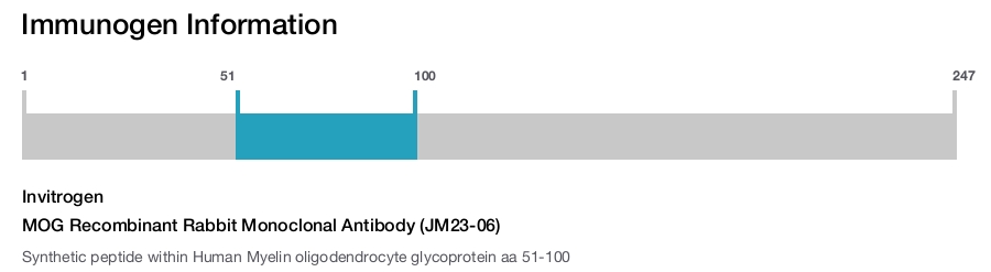 MOG Recombinant Rabbit Monoclonal Antibody (JM23-06)