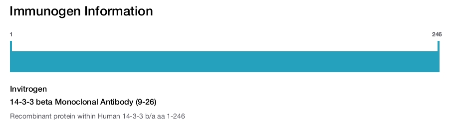 14-3-3 beta Monoclonal Antibody (9-26)