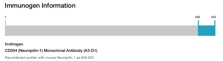 CD304 (Neuropilin-1) Monoclonal Antibody (A3-D1)