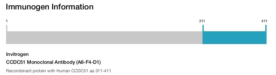 CCDC51 Monoclonal Antibody (A8-F4-D1)