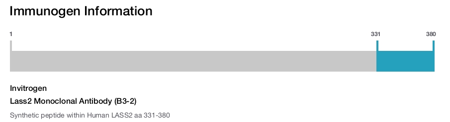 Lass2 Monoclonal Antibody (B3-2)