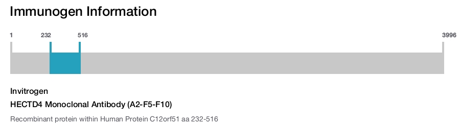 HECTD4 Monoclonal Antibody (A2-F5-F10)