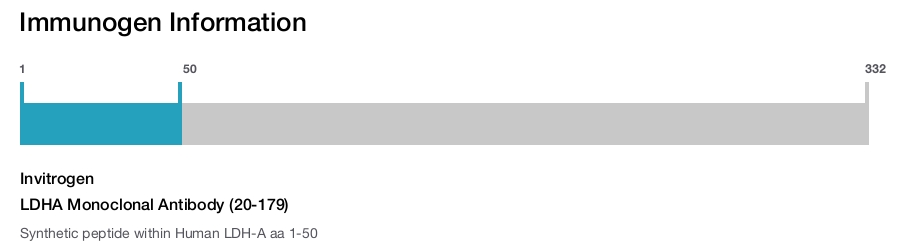 LDHA Monoclonal Antibody (20-179)