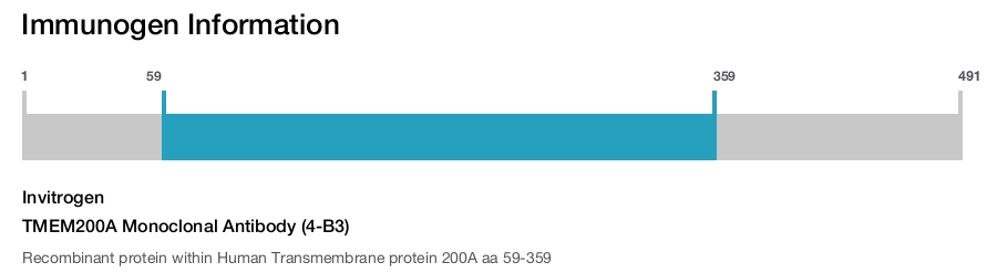 TMEM200A Monoclonal Antibody (4-B3)