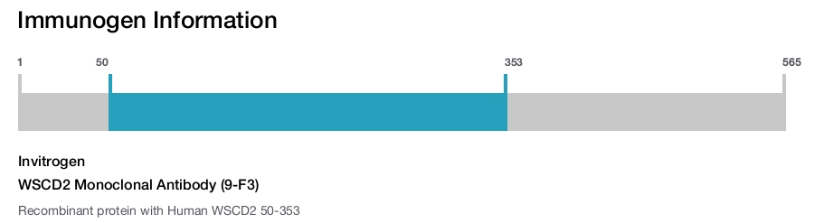 WSCD2 Monoclonal Antibody (9-F3)