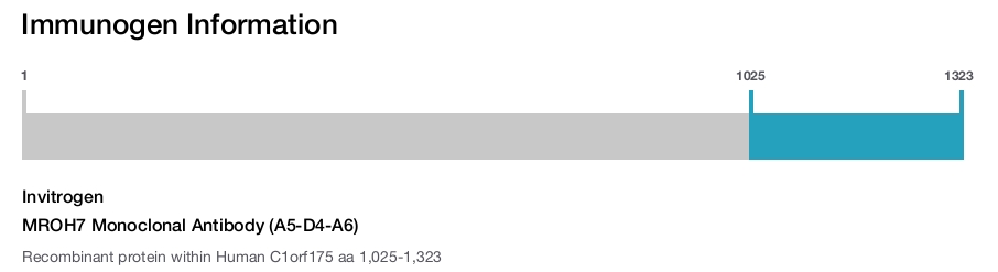 MROH7 Monoclonal Antibody (A5-D4-A6)