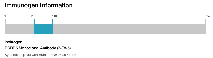 PGBD5 Monoclonal Antibody (7-F8-5)