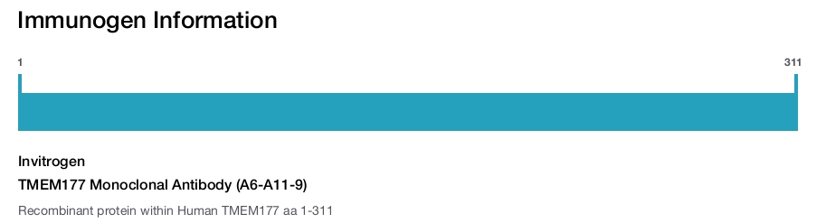 TMEM177 Monoclonal Antibody (A6-A11-9)