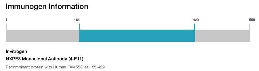 NXPE3 Monoclonal Antibody (4-E11)