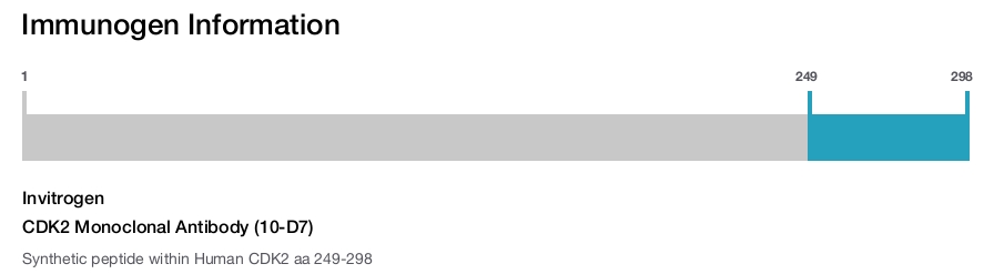 CDK2 Monoclonal Antibody (10-D7)
