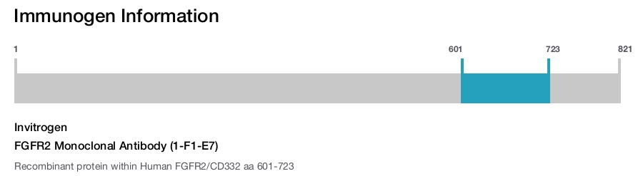 FGFR2 Monoclonal Antibody (1-F1-E7)