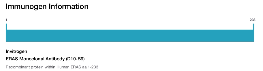 ERAS Monoclonal Antibody (D10-B9)
