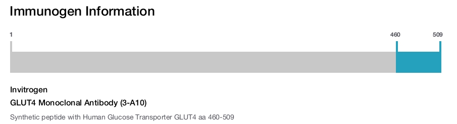 GLUT4 Monoclonal Antibody (3-A10)