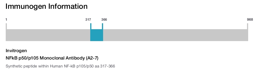 NFkB p50/p105 Monoclonal Antibody (A2-7)