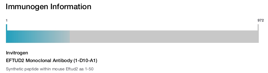 EFTUD2 Monoclonal Antibody (1-D10-A1)