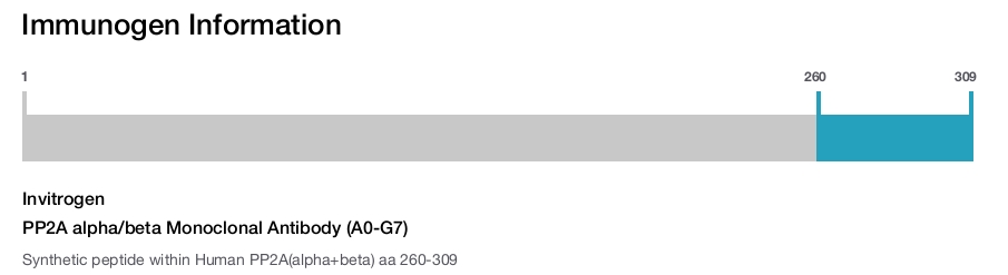 PP2A alpha/beta Monoclonal Antibody (A0-G7)