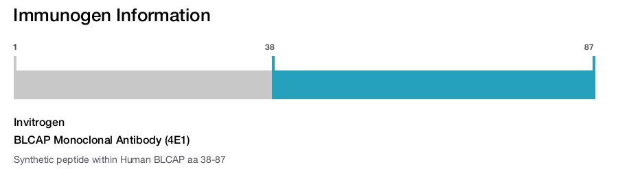 BLCAP Monoclonal Antibody (4E1)