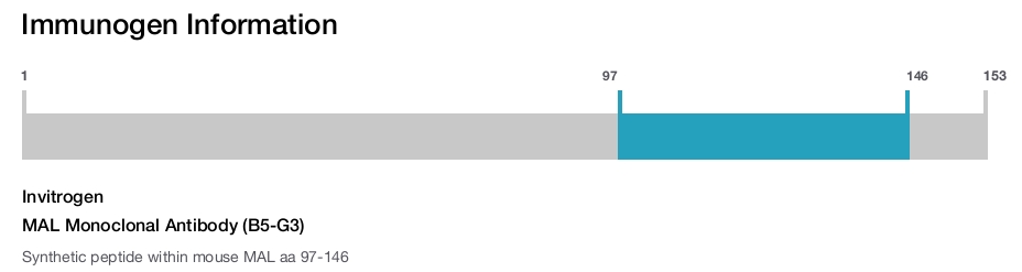 MAL Monoclonal Antibody (B5-G3)