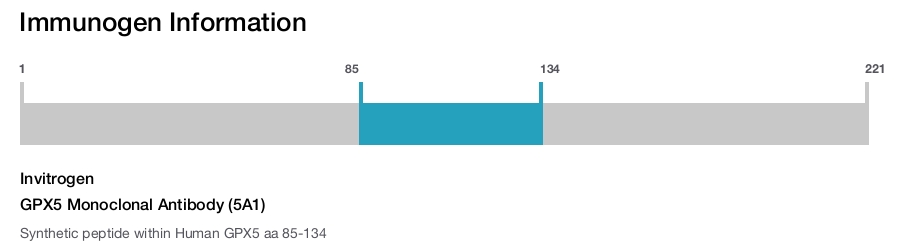 GPX5 Monoclonal Antibody (5A1)