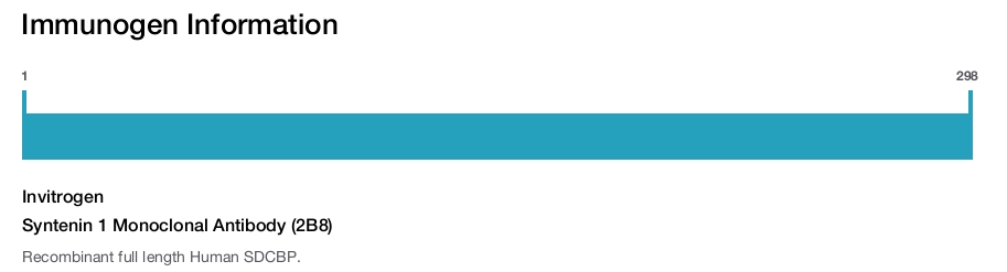 Syntenin 1 Monoclonal Antibody (2B8)